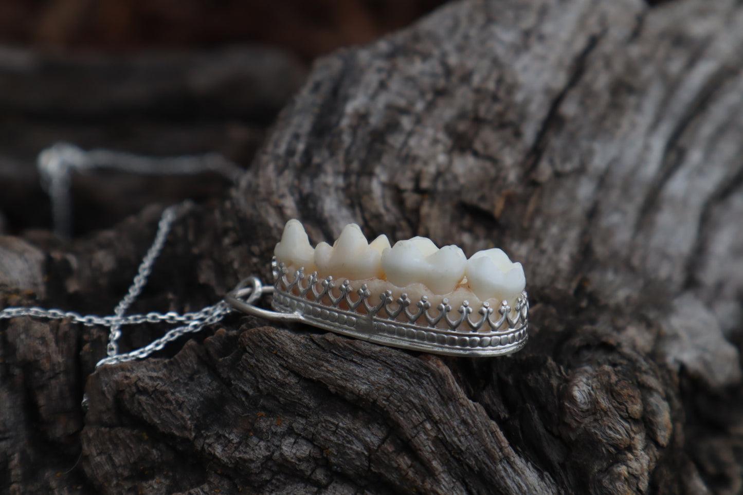 Reserved for Cora - Raccoon Skull Fragment Necklace - .925 Sterling Silver
