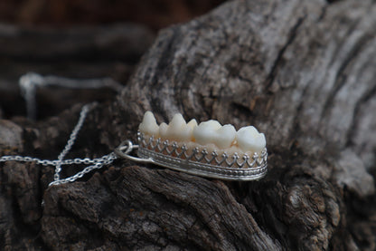 Reserved for Cora - Raccoon Skull Fragment Necklace - .925 Sterling Silver
