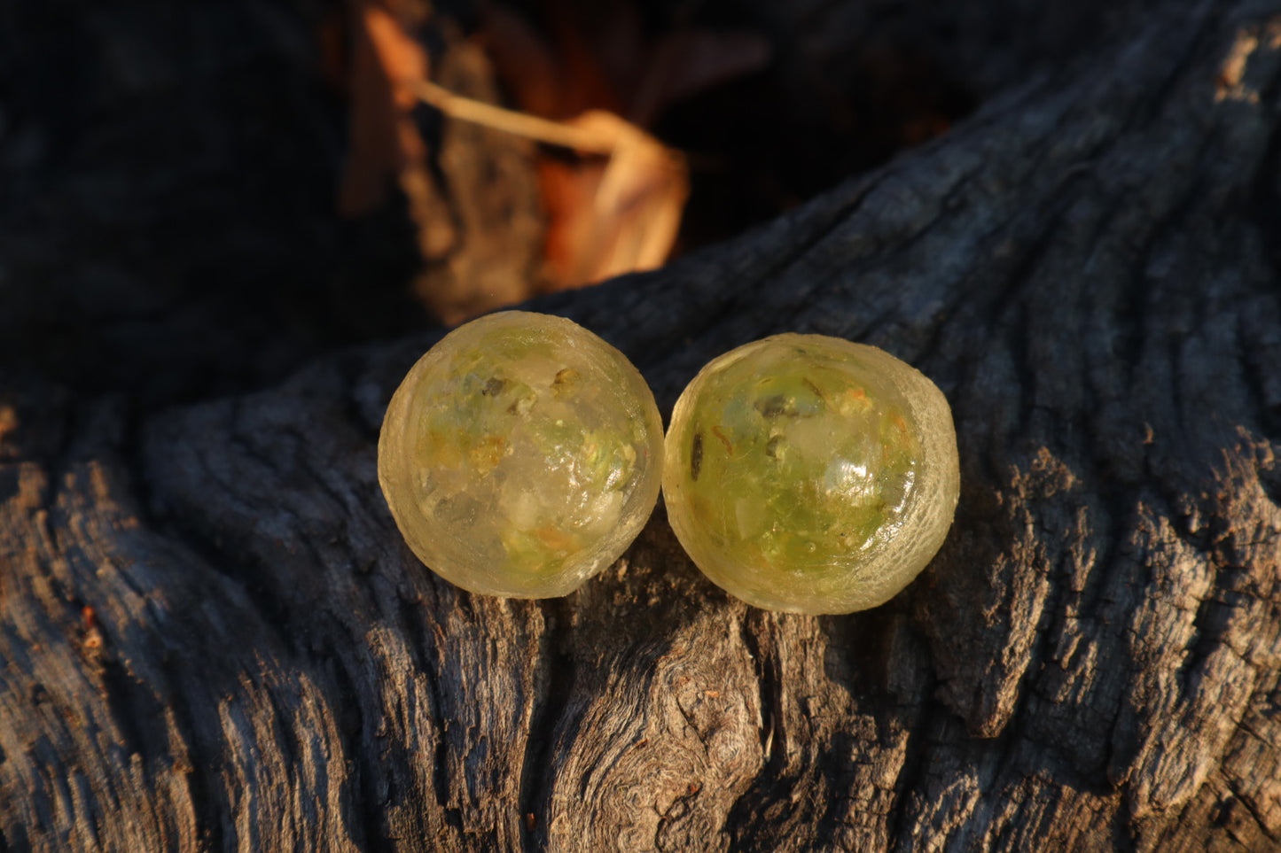 Crystal Coyote Eyes