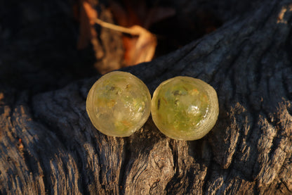 Crystal Coyote Eyes