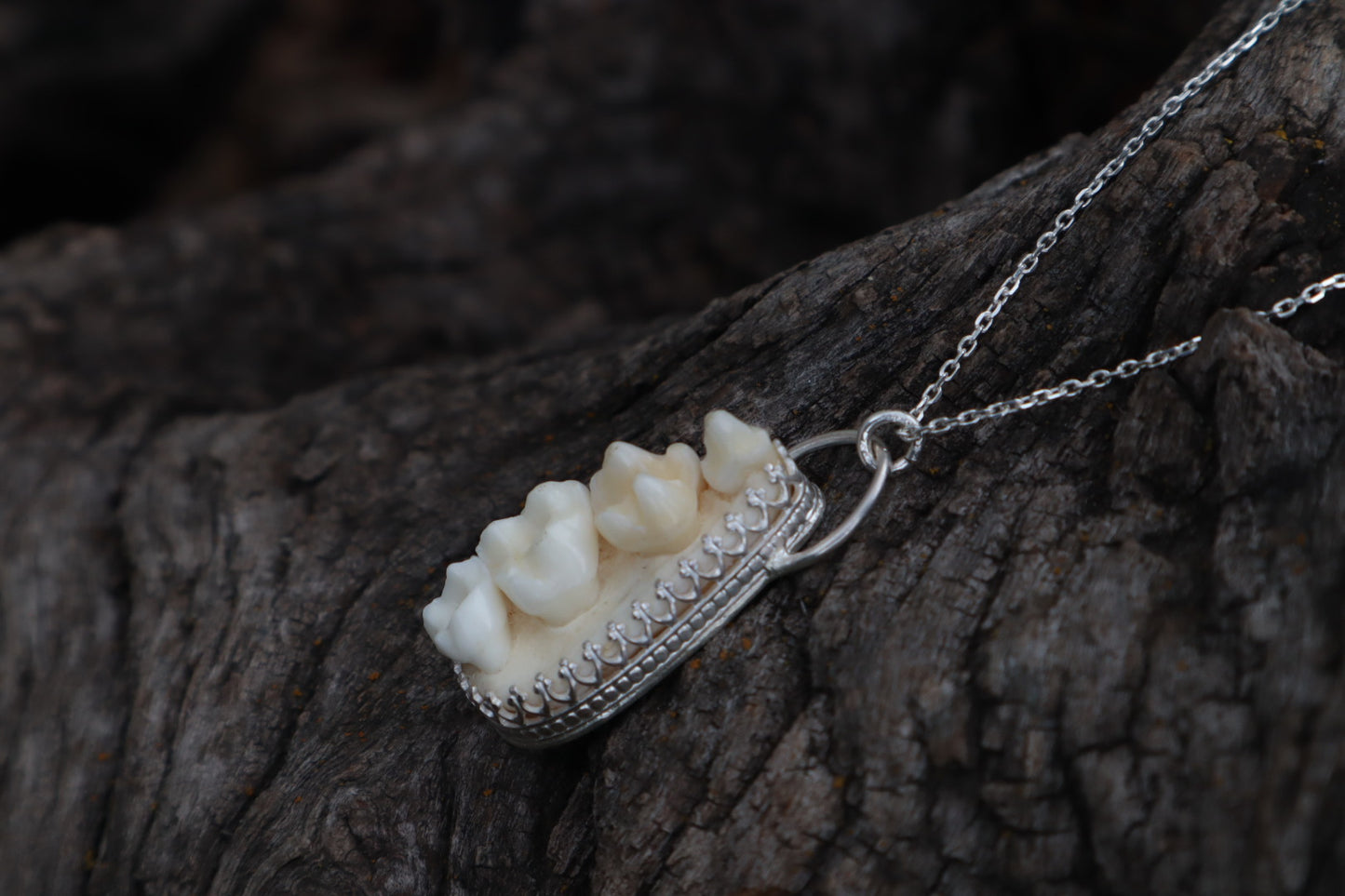 Reserved for Cora - Raccoon Skull Fragment Necklace - .925 Sterling Silver