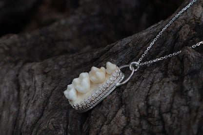 Reserved for Cora - Raccoon Skull Fragment Necklace - .925 Sterling Silver