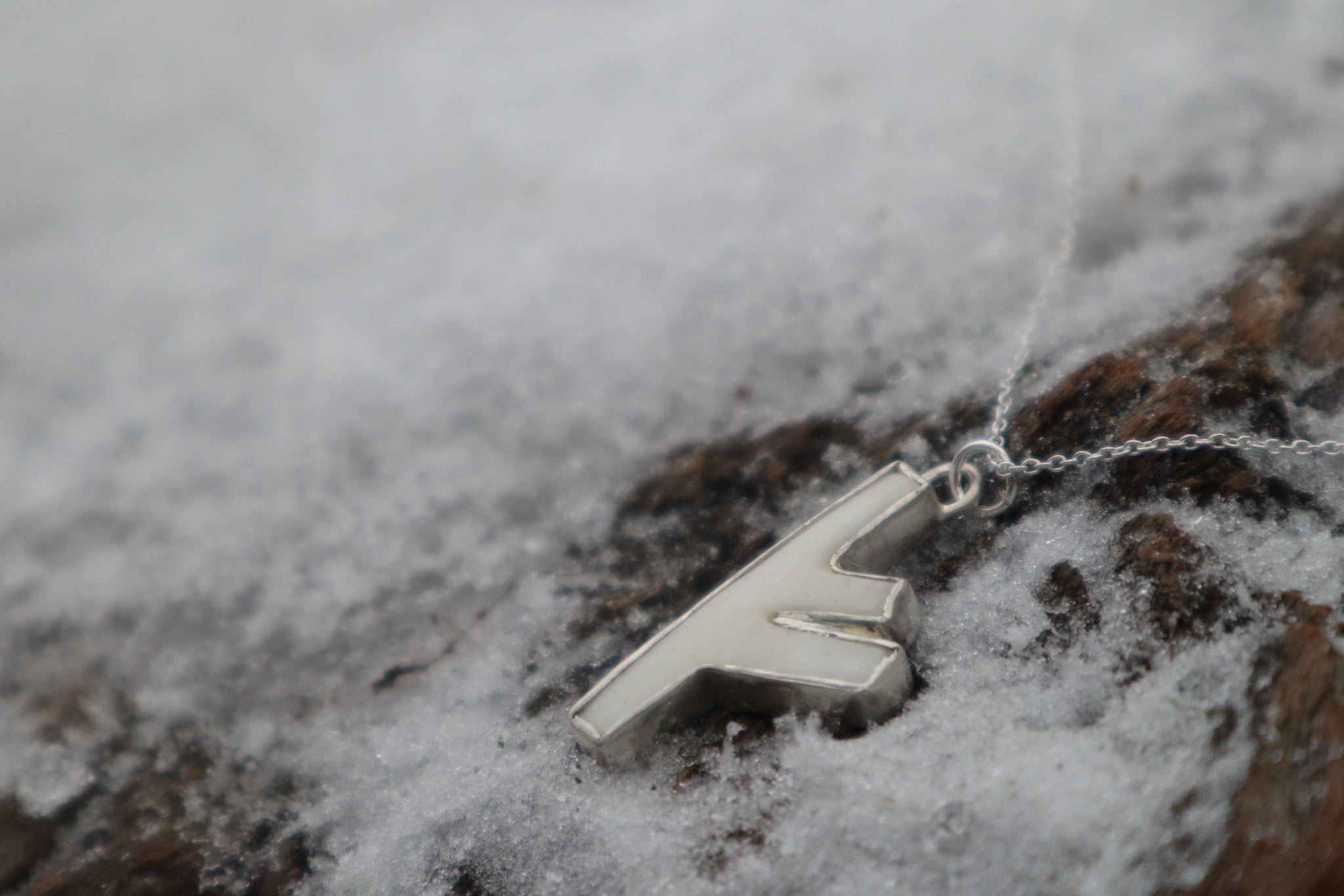 Fehu Wolf Bone and Silver Talisman