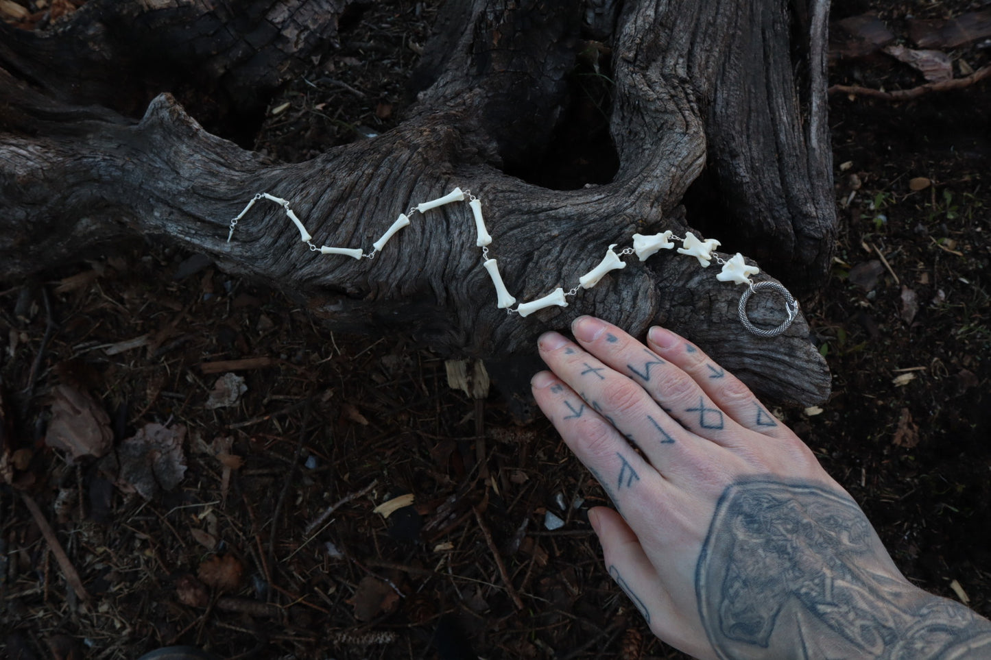 Fluid Coyote Tail Articulation with Ouroboros Ring