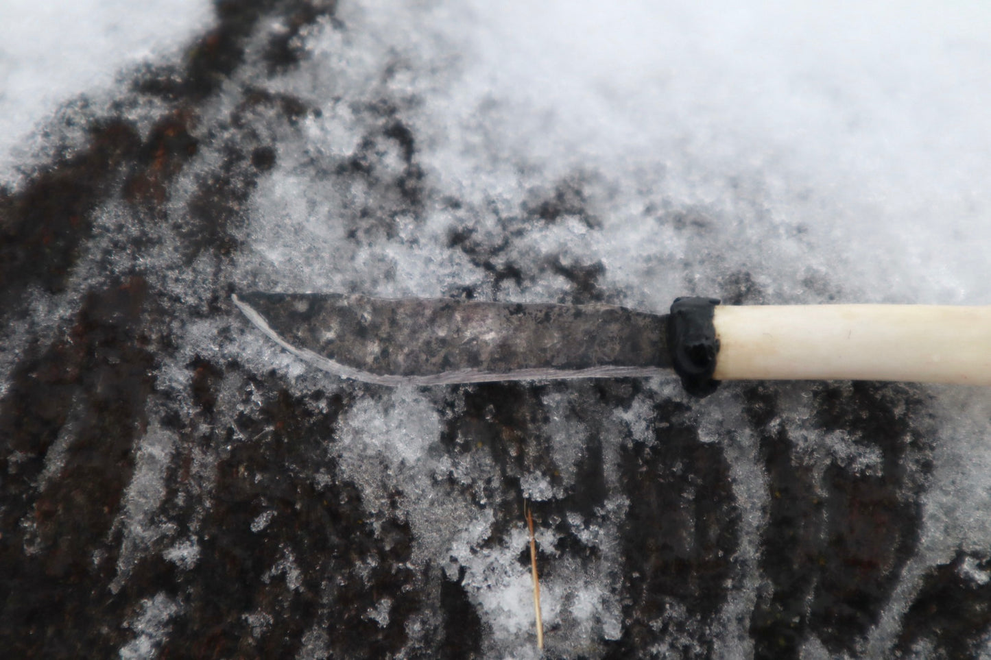 Kitten Tibia Knife