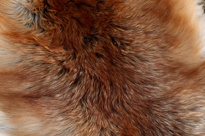 Red Fox Pelt - Double Bend