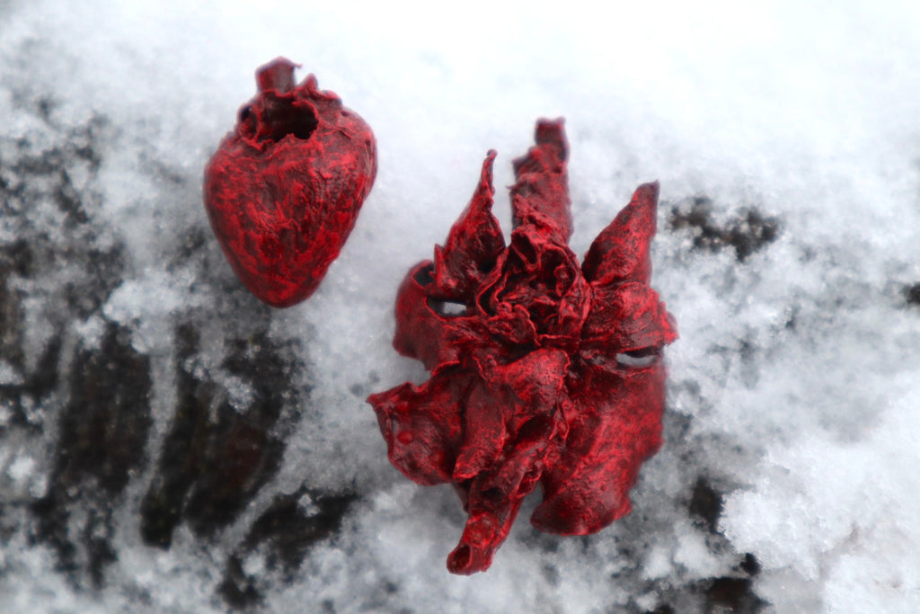 Dry Preserved Kitten Heart and Lungs