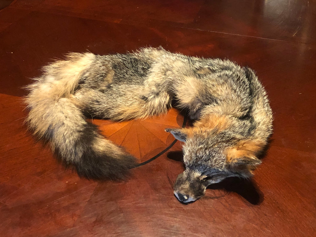 Reserved for Hannah - Craft Gray Fox Wallhanger