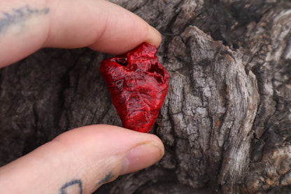Dry Preserved Chicken Heart