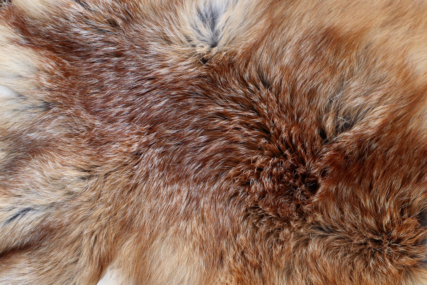 Red Fox Pelt - Double Bend
