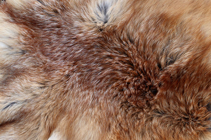 Red Fox Pelt - Double Bend