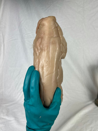 Reserved For Mariah - Wet Specimen Piglet with Congenital Disorders