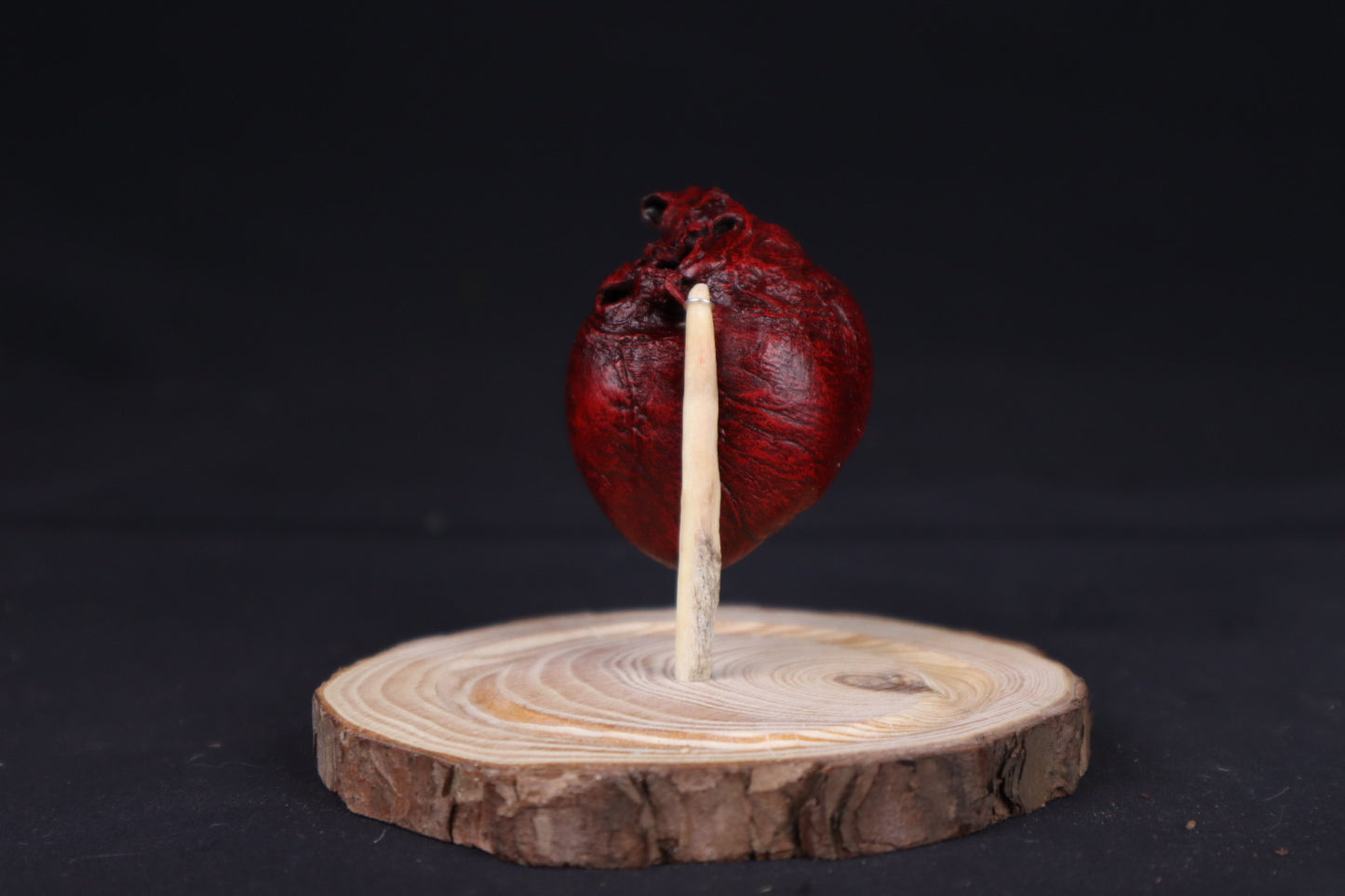 Reserved for Sam - Dry Preserved Red Fox Heart in Glass Dome