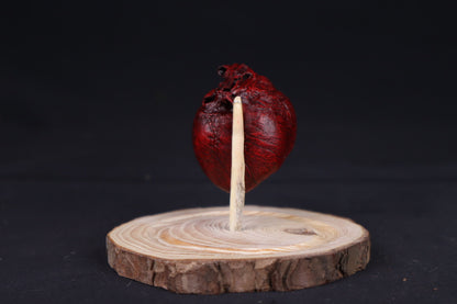 Reserved for Sam - Dry Preserved Red Fox Heart in Glass Dome