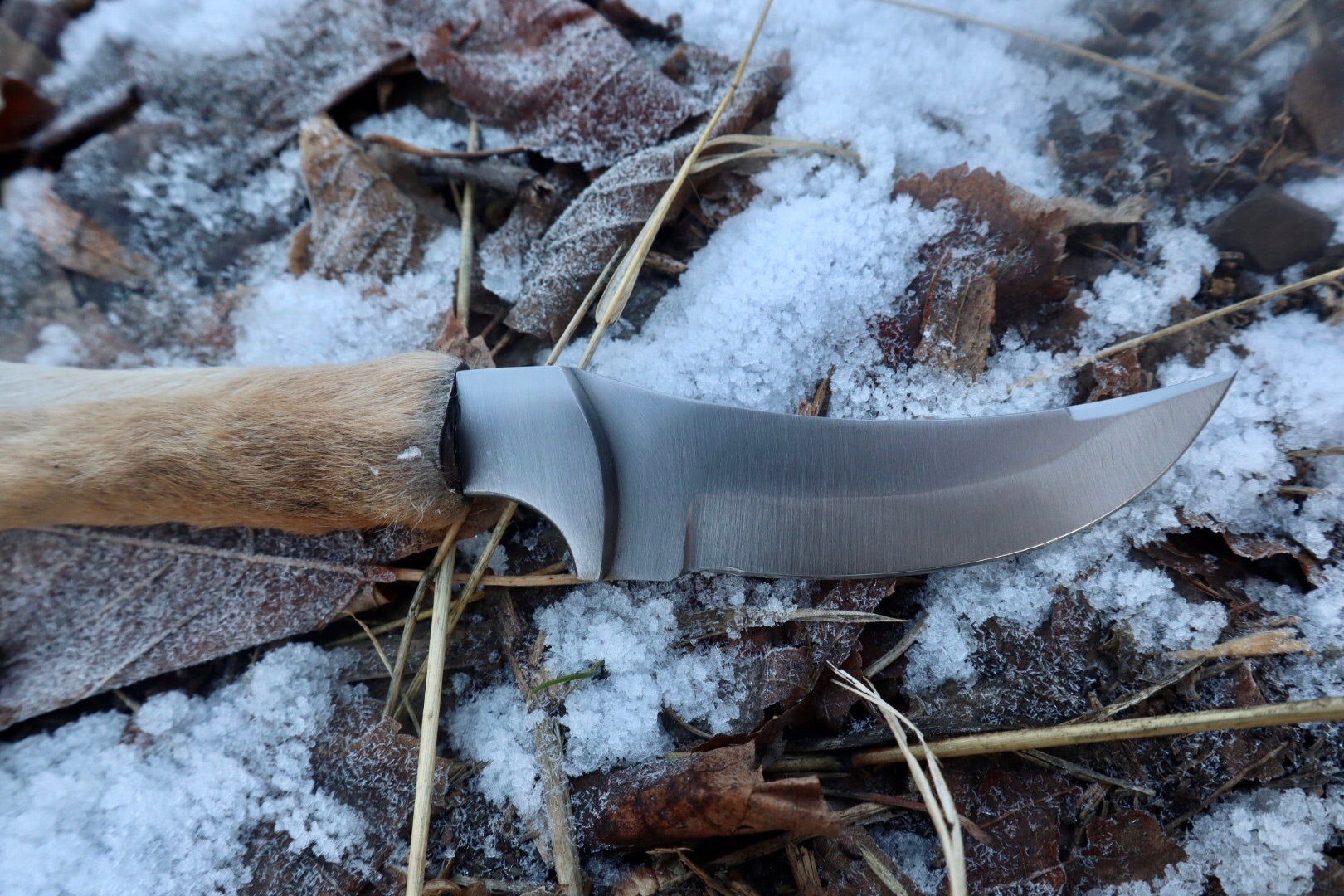 Coyote Paw Knife