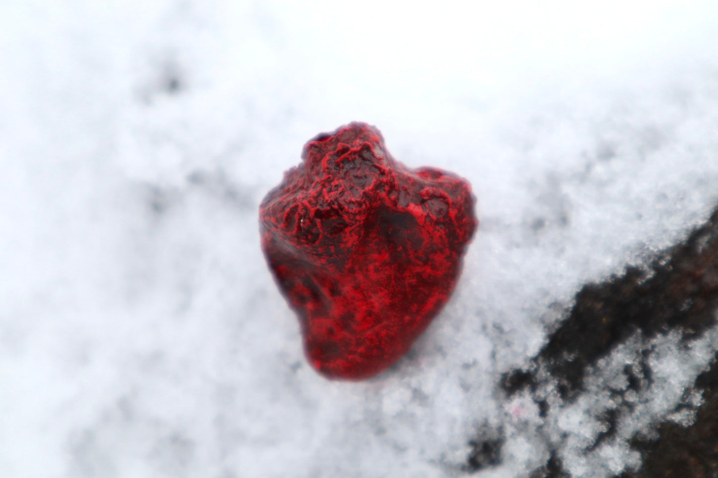 Dry Preserved Chicken Heart
