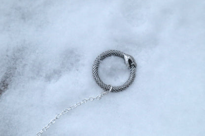 Mountain Lion Toe Pendulum with an Amethyst Point