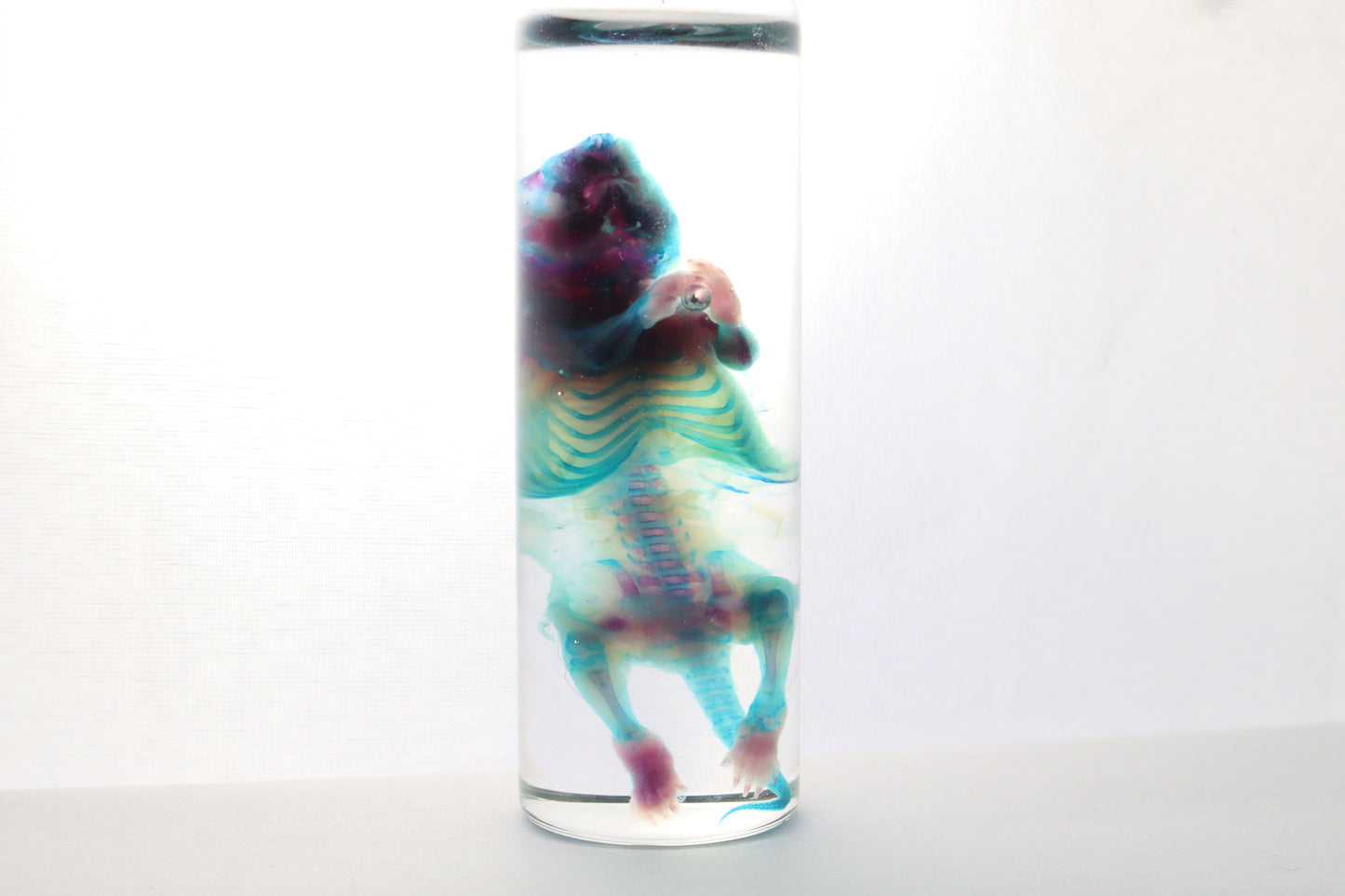 Reserved for Gabi - Diaphonized Baby Mouse
