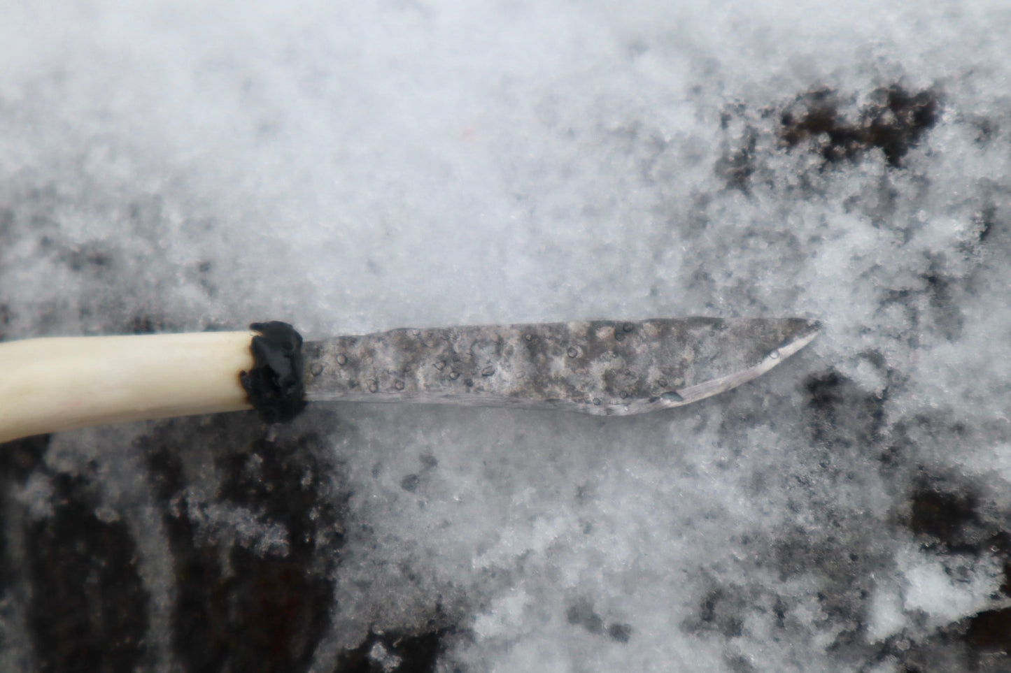 Reserved for Antoinette - Kitten Tibia Knife