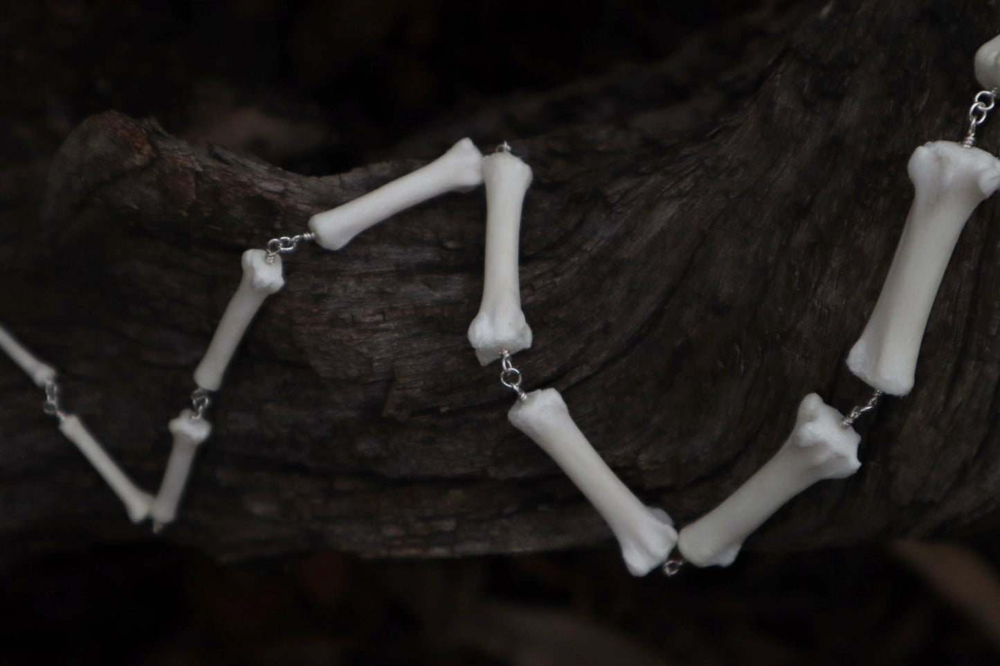 Fluid Gray Wolf Tail Articulation with Ouroboros Ring