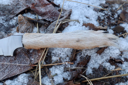 Coyote Paw Knife