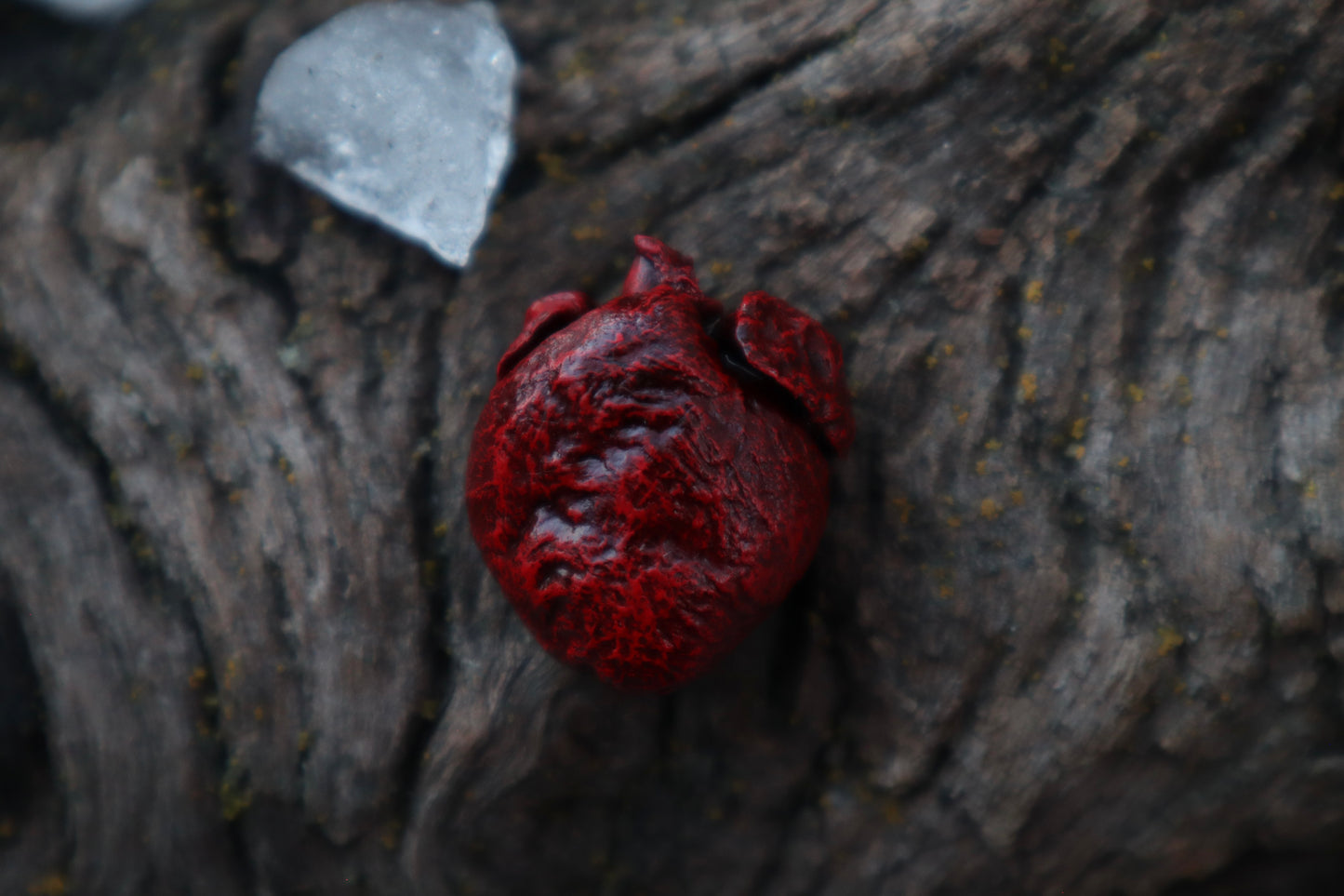 Dry Preserved Cottontail Rabbit Heart and Lungs