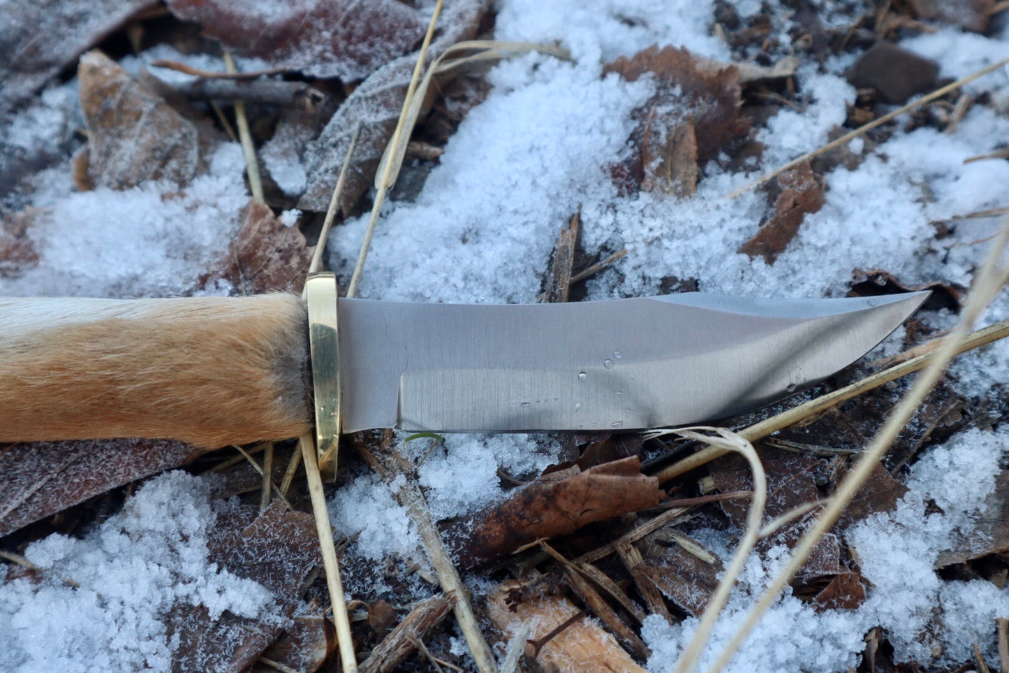 Coyote Paw Knife