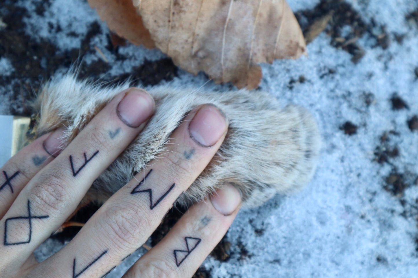 Bobcat Paw Knife