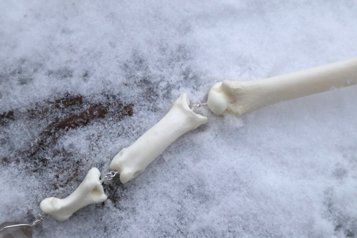 Mountain Lion Toe Pendulum with a Garden Quartz Point