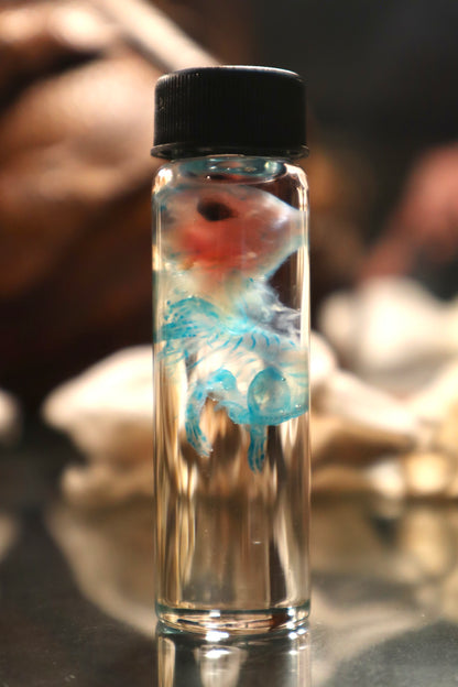 Diaphonized Fetal Cottontail Rabbit