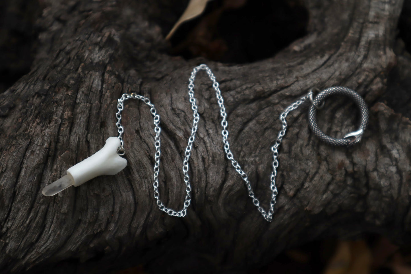 Reserved for Ashley - Two Domestic Cat Tibia Pendulum with Ouroboros Ring