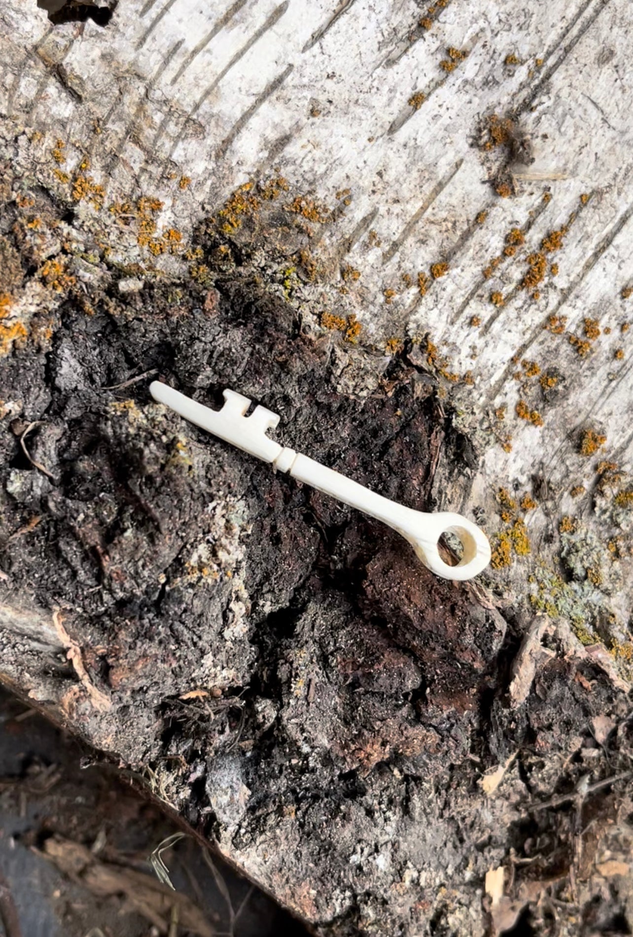 Reserved for Molly - Gray Wolf Rib Skeleton Key