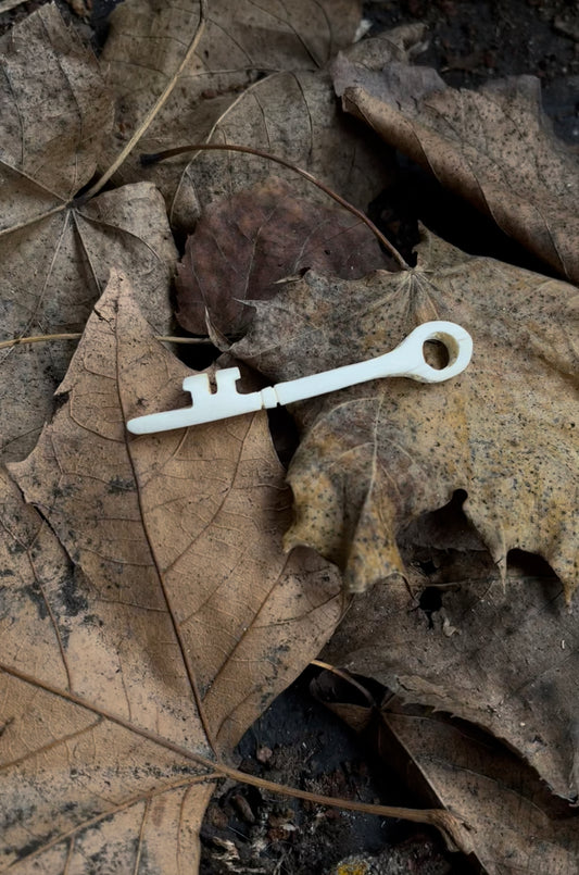 Reserved for Molly - Gray Wolf Rib Skeleton Key
