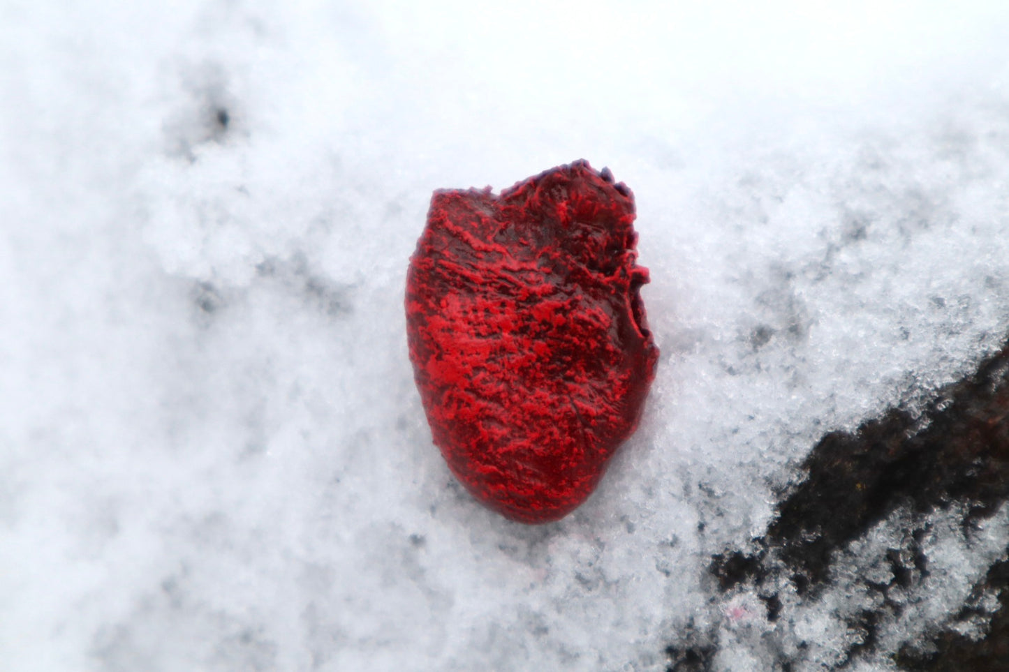 Dry Preserved Chicken Heart