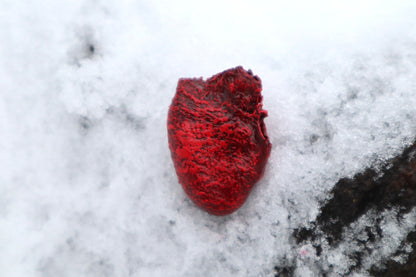 Dry Preserved Chicken Heart
