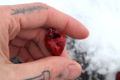 Dry Preserved Kitten Heart and Lungs