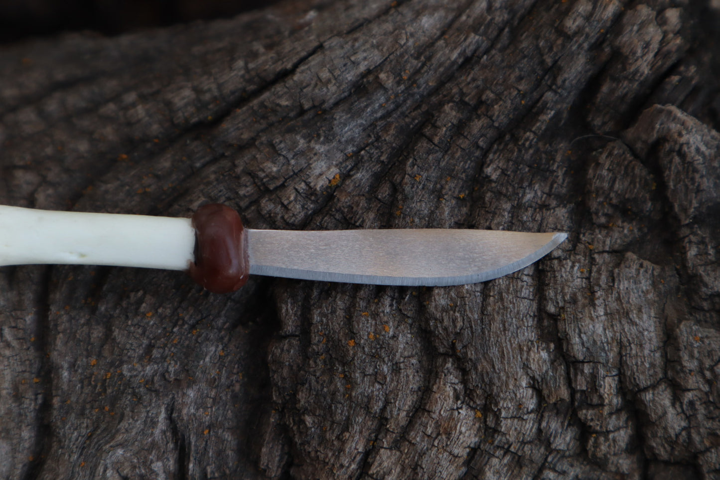 Kitten Tibia Knife