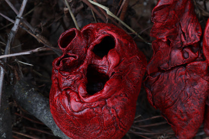 Dry Preserved Gray Wolf Heart