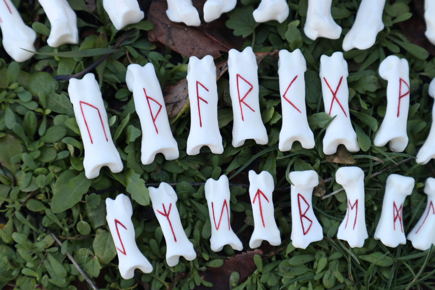 Reserved for Molly - Mountain Lion Bone Elder Futhark Rune Set
