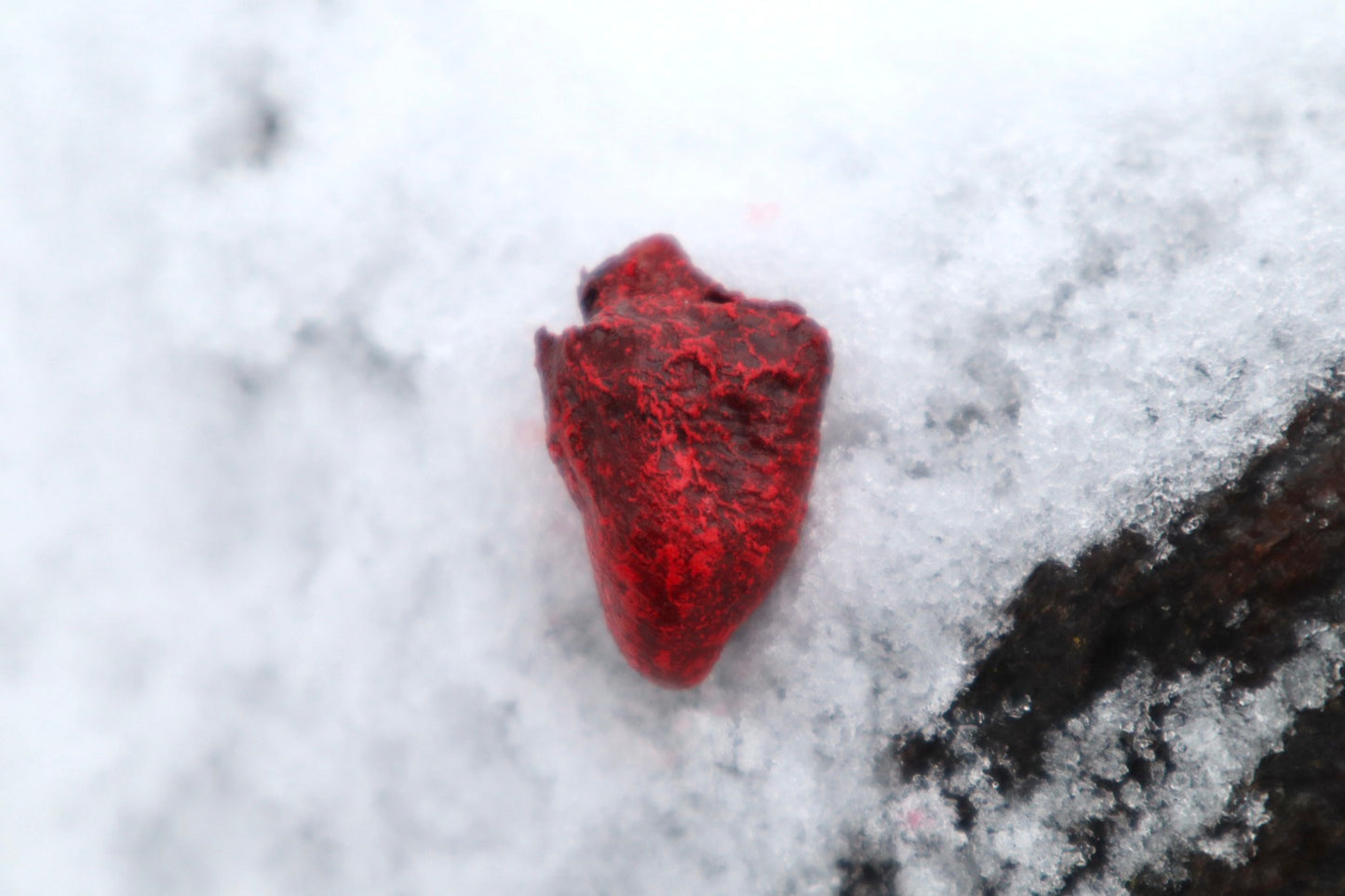 Dry Preserved Chicken Heart