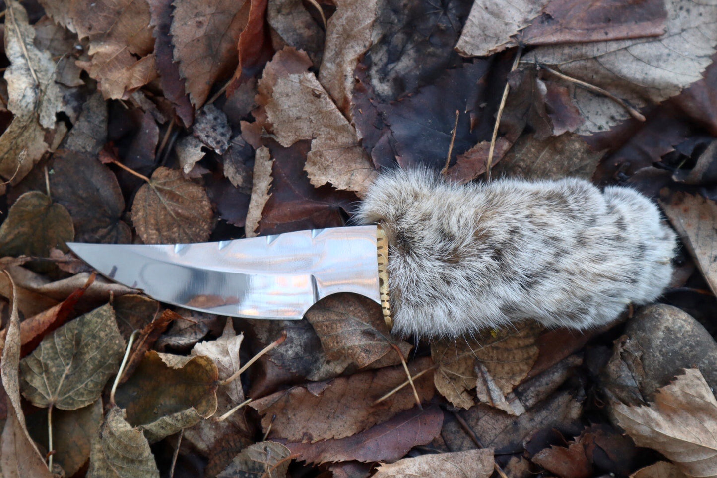 Bobcat Paw Knife