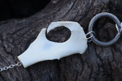 Reserved for Amanda - Domestic Cat Pelvis Trinity Sculpture
