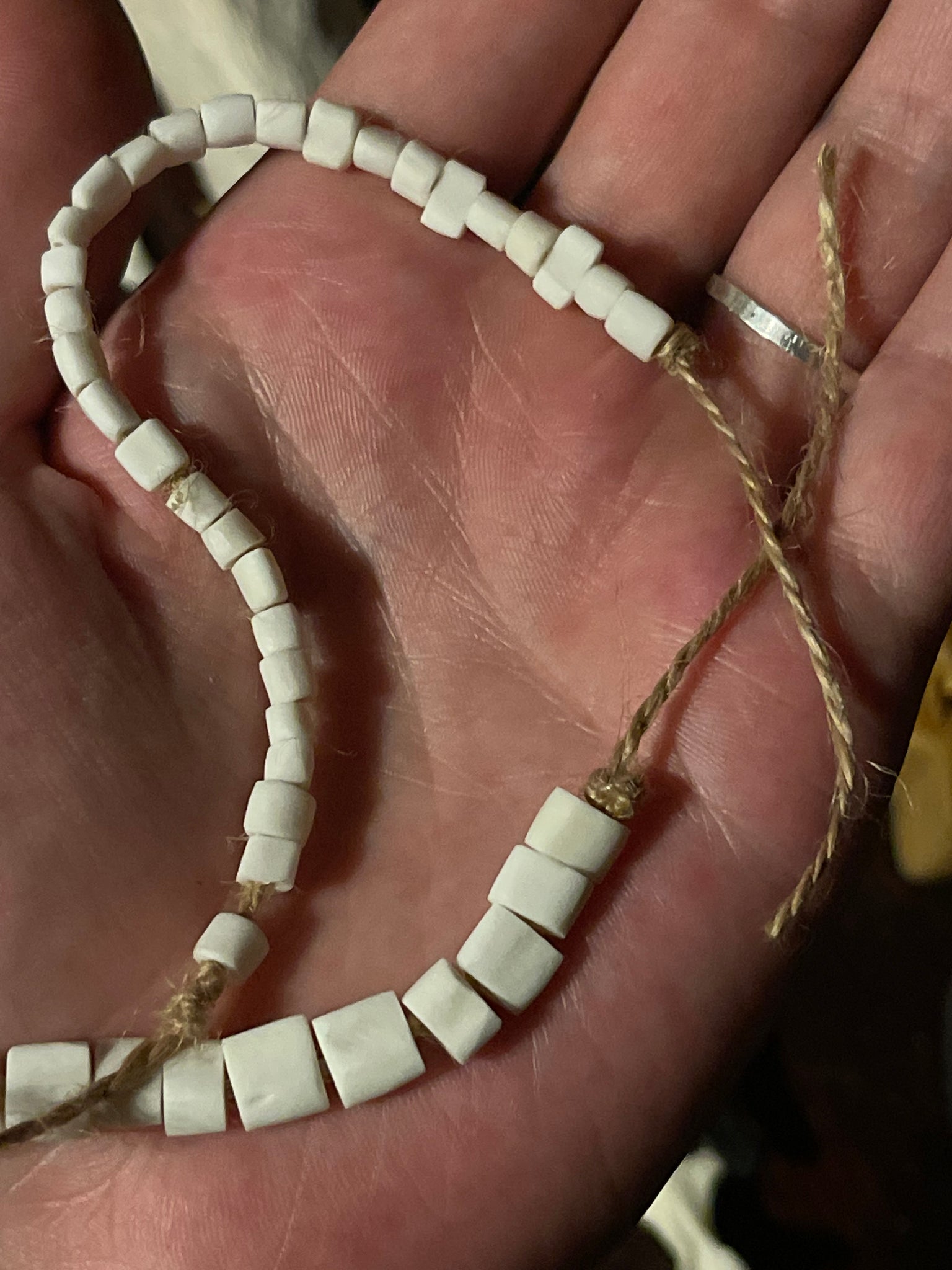 Reserved for Emily - Raccoon and Red Fox Bone Beads
