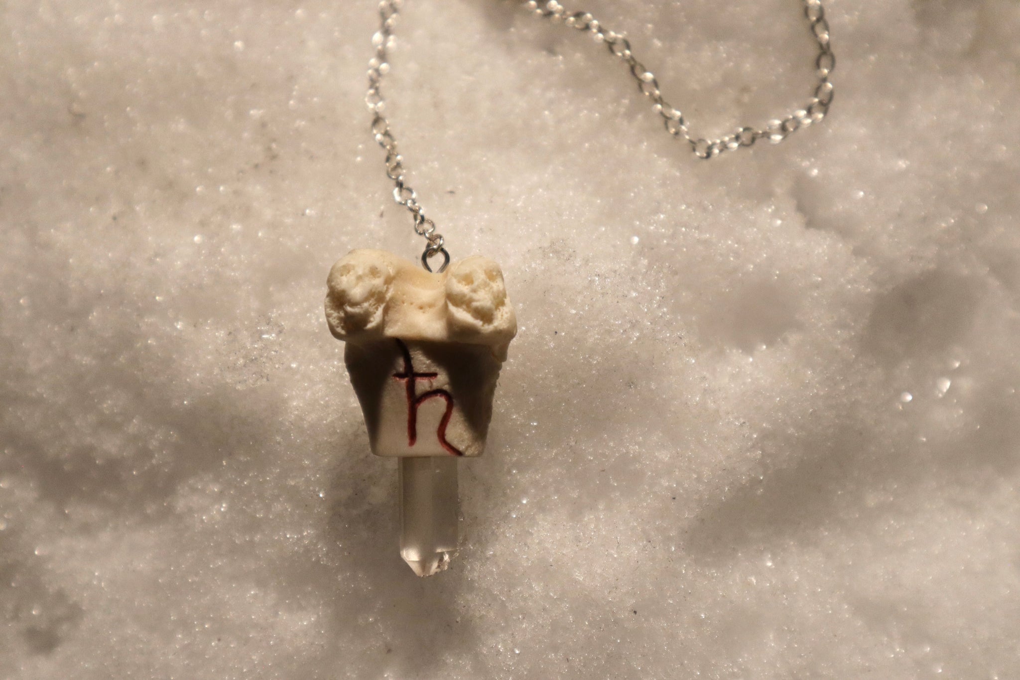 Raccoon Femur Pendulum with Ouroboros Ring