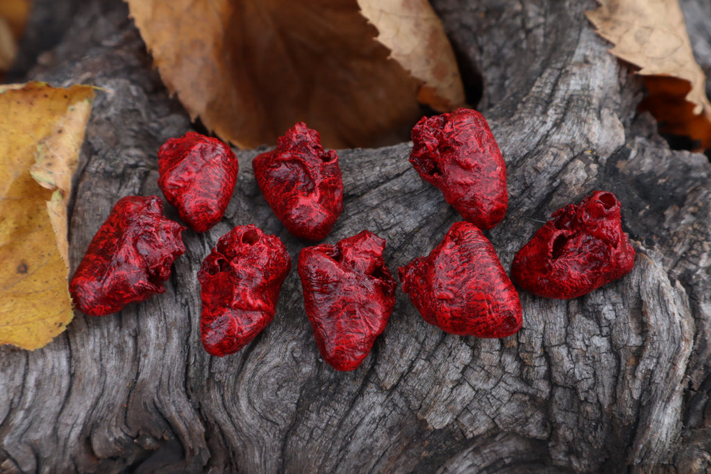 Dry Preserved Chicken Heart