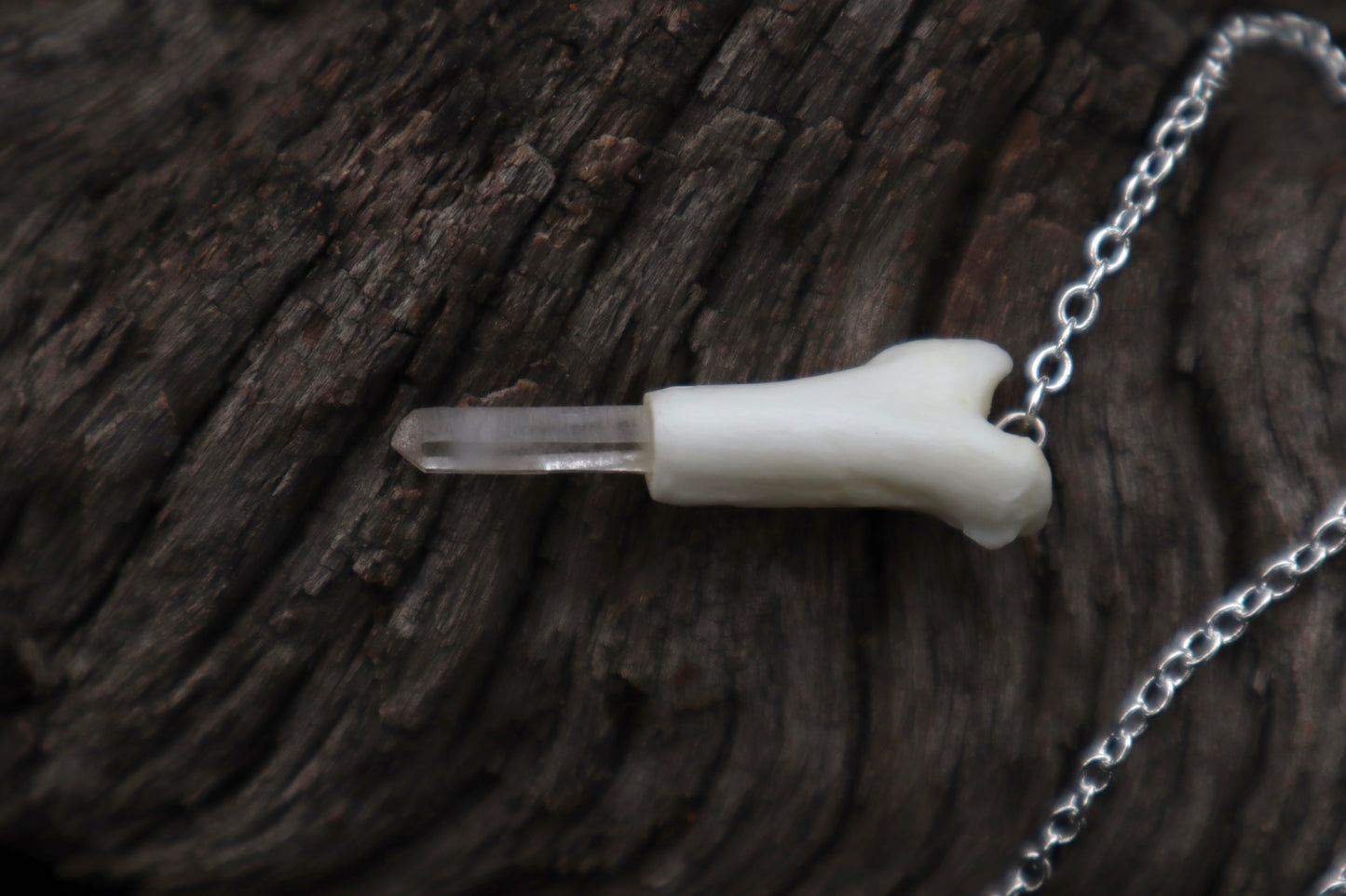 Reserved for Ashley - Two Domestic Cat Tibia Pendulum with Ouroboros Ring