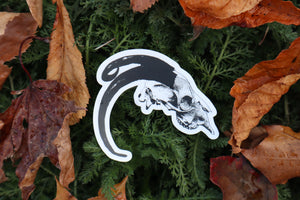 Goat Skull Sticker