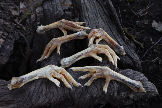 Dry Preserved Chicken Foot