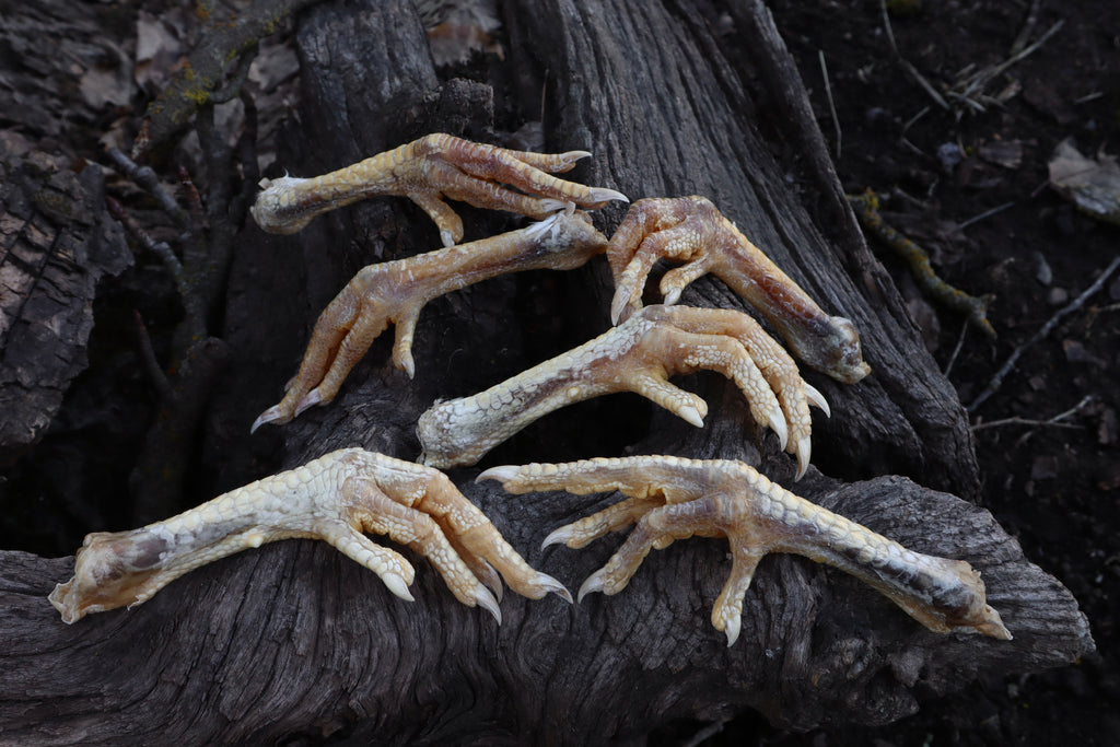 Dry Preserved Chicken Foot
