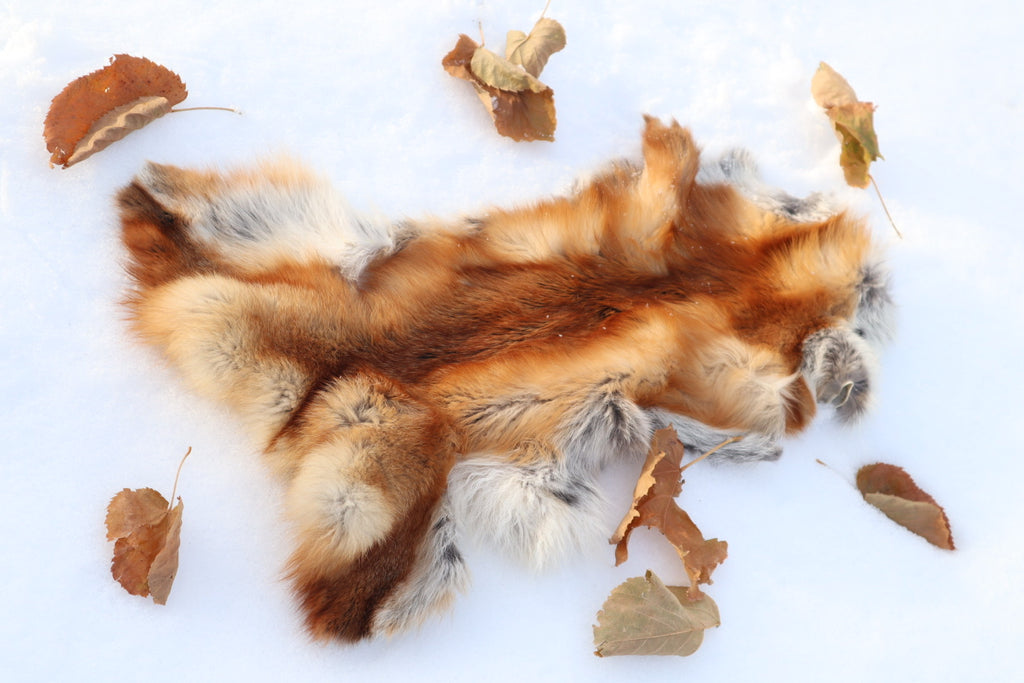 Red Fox Pelt - Altar Cut